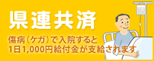 県連共済